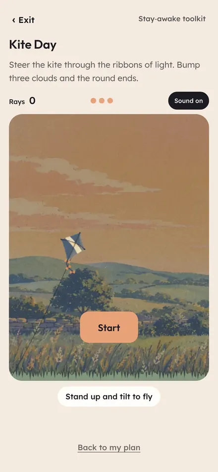 App screen for the Kite Day game